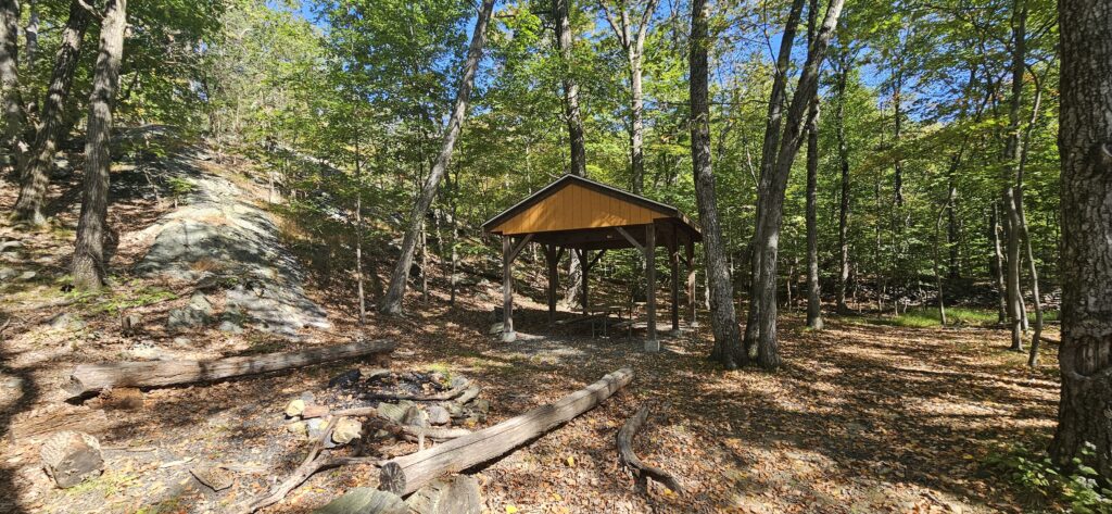 An image of a pavilion in the woods
