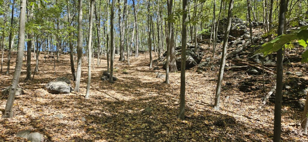 mountainside park red trail