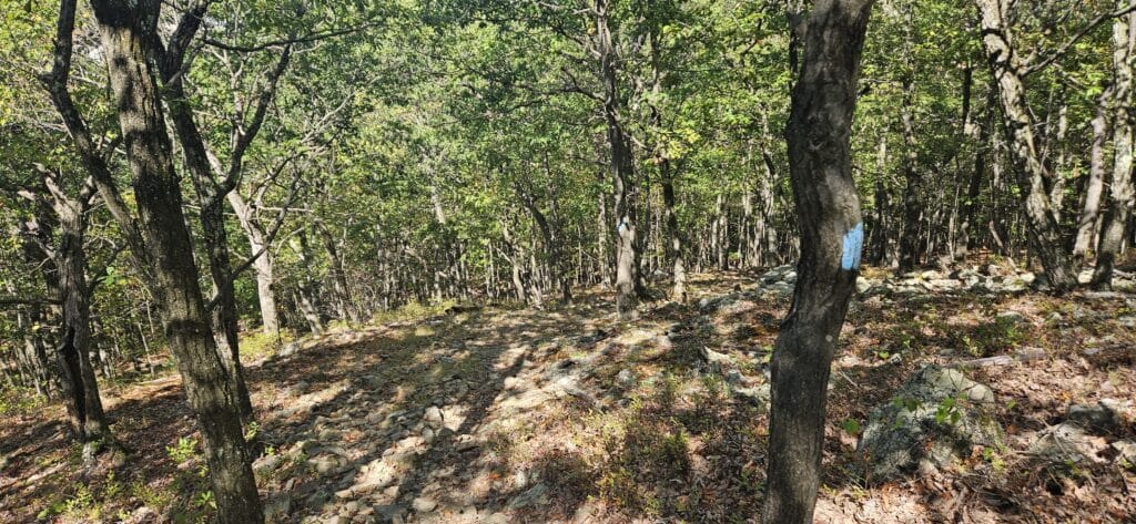 An image of rocky hiking trail