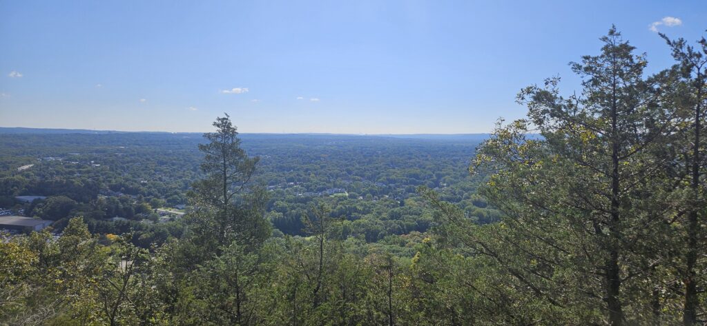 An image of an overlook featuring many houses below