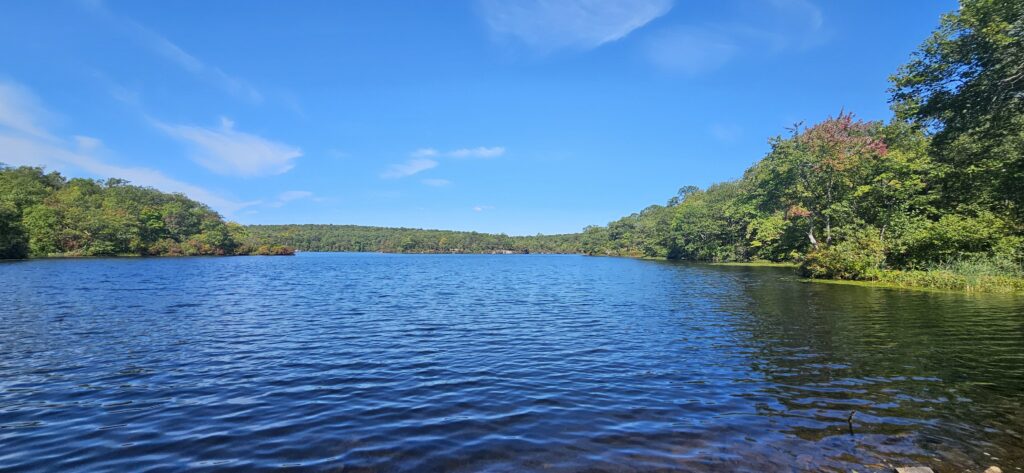An image of a scenic lake