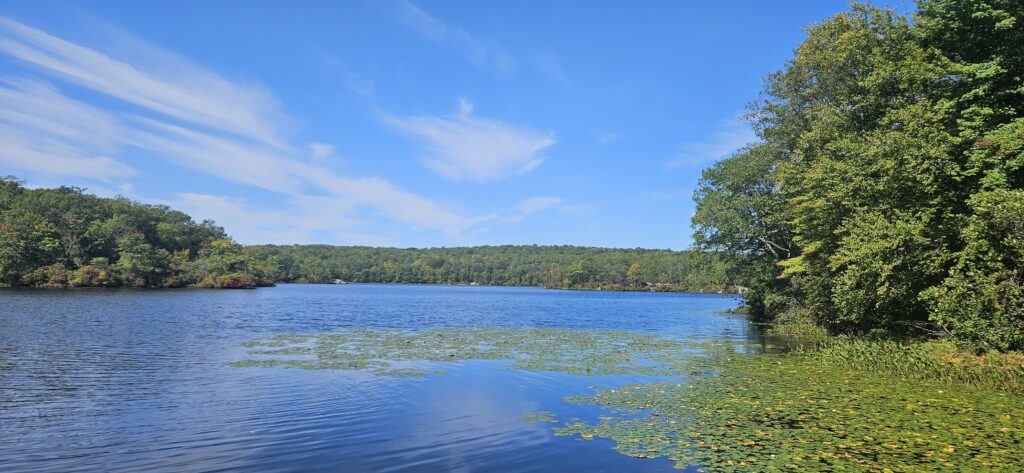 An image of a scenic lake
