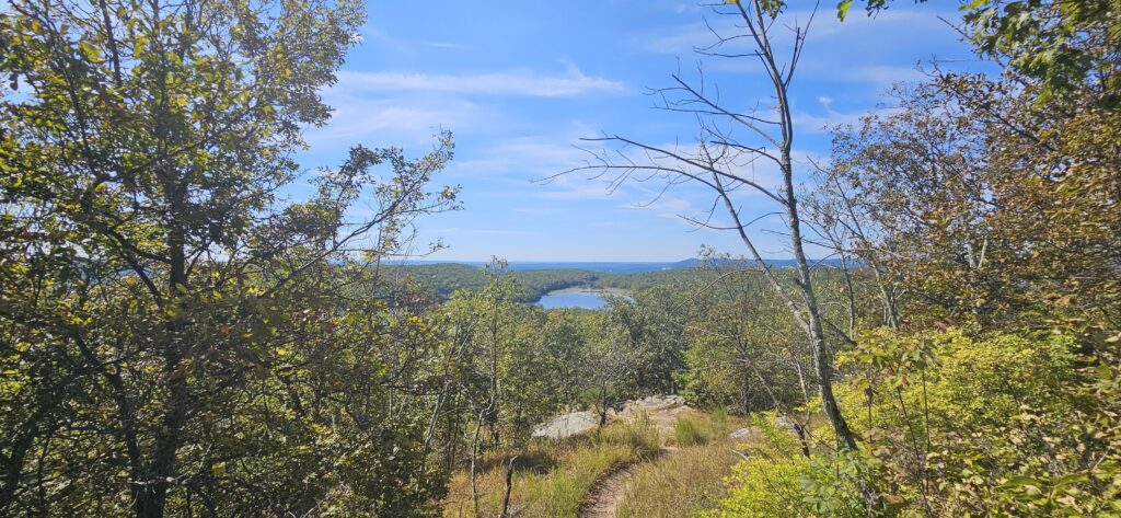 An image of a scenic lake from a hiking trail