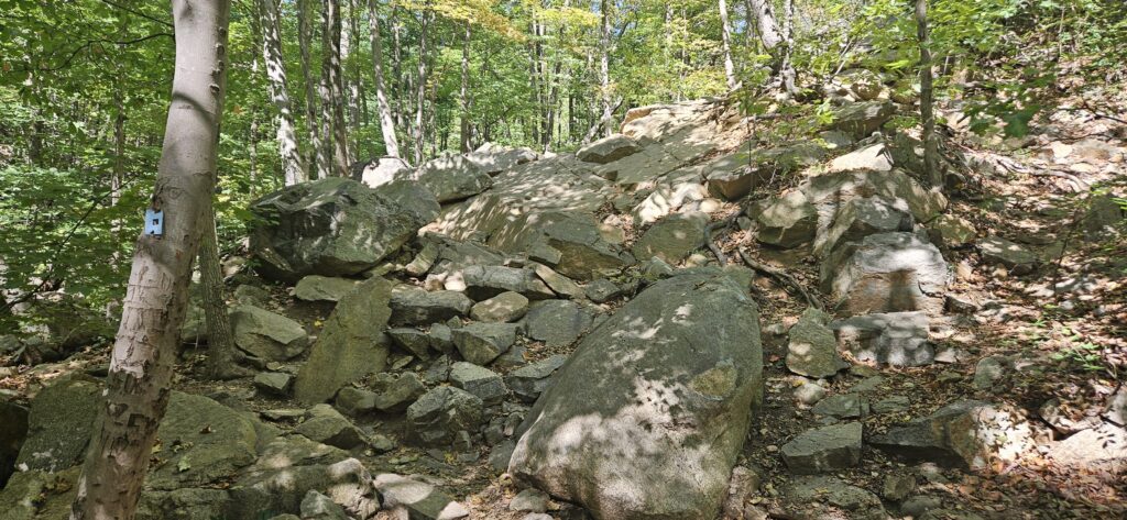 An image of a rocky hiking trail