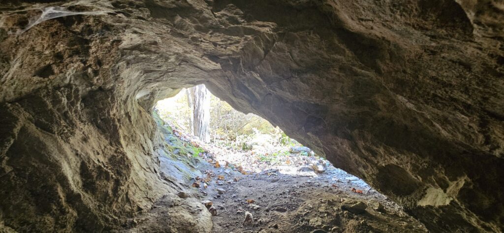 An image taken from inside a cave looking outside