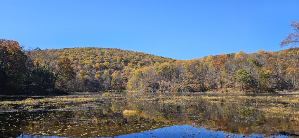 An image of a scenic lake during the fall