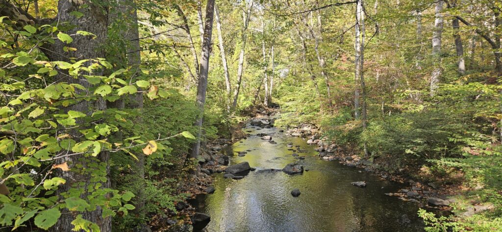 A scenic view of a river