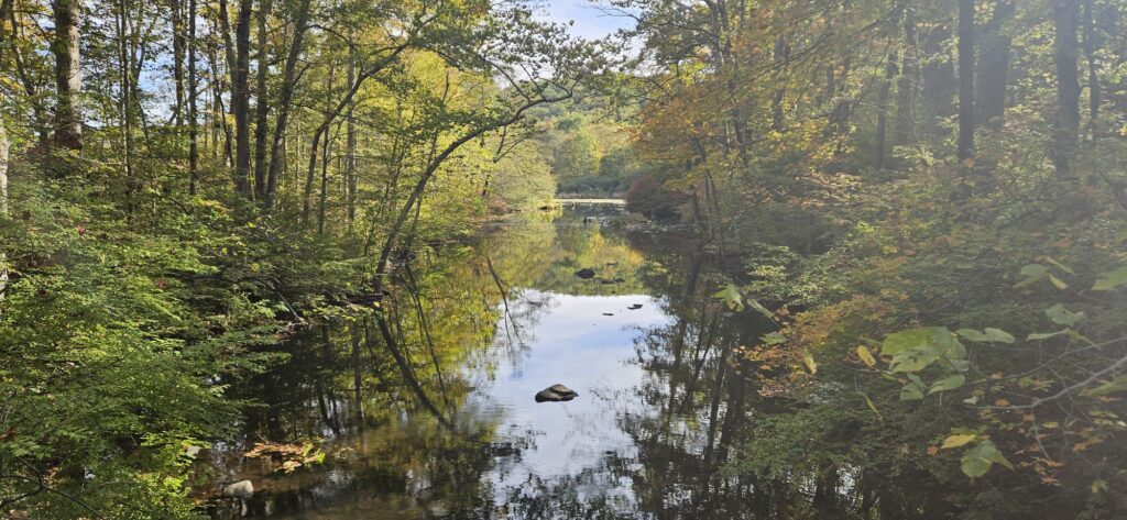 An image of a scenic river