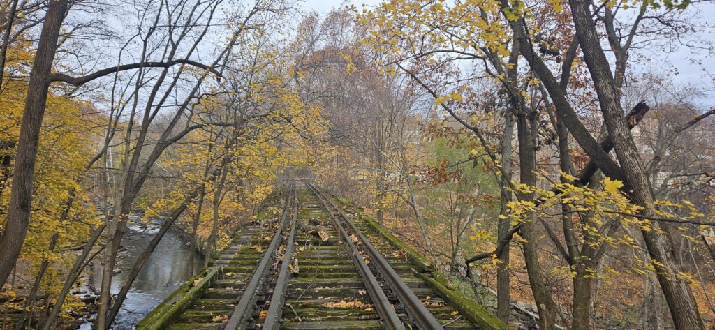 An image of train tracks at Grace Lord Park