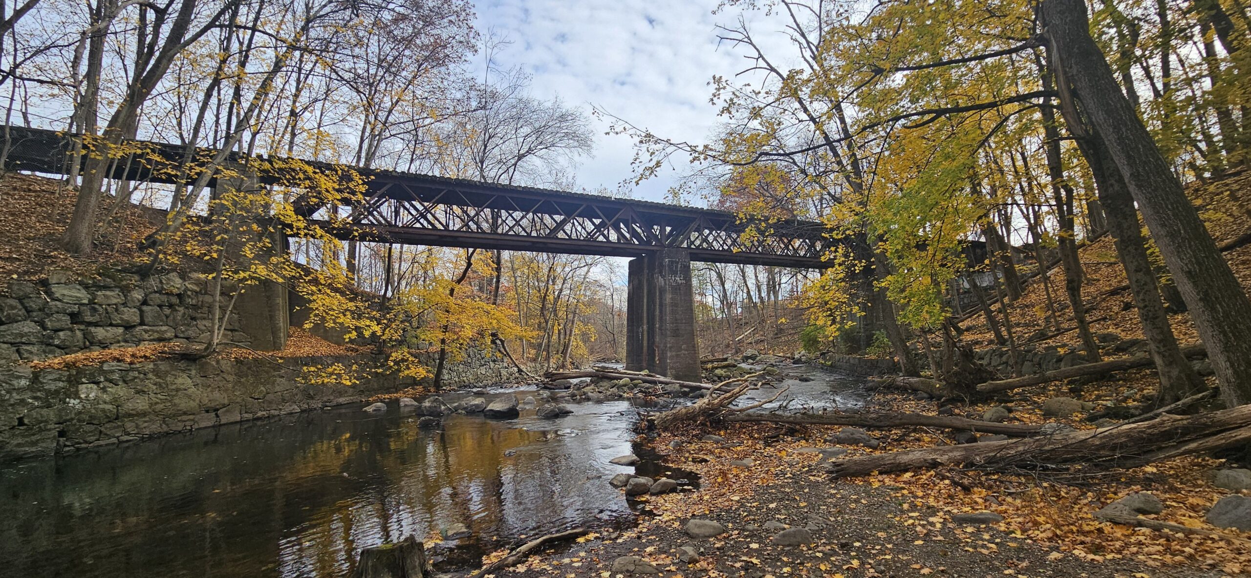 Grace Lord Park’s Unknown Rail Trestle and Turntable
