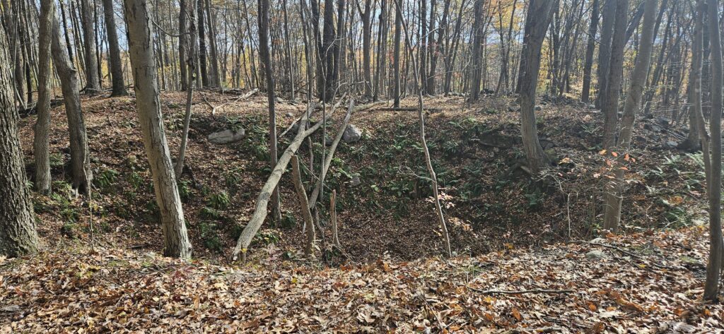 An image of a mine pit at Mount Hope