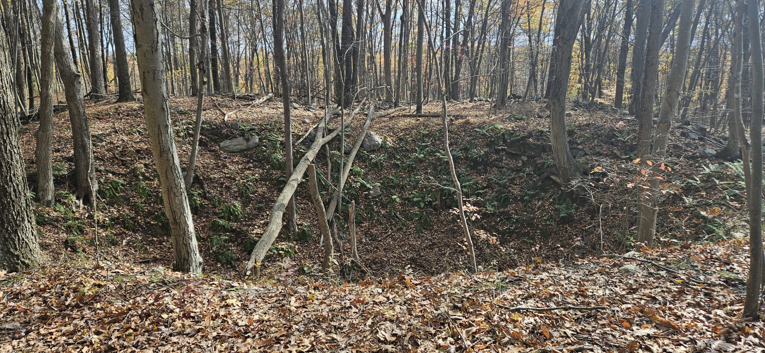 Exploring Mount Hope Historical Park