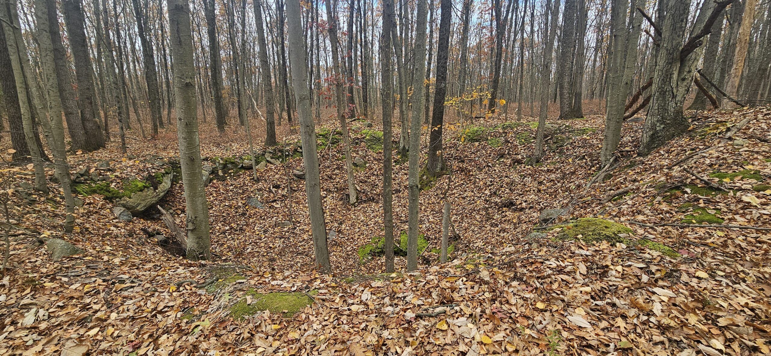 An image of a small mine pit at Mount Hope Historical Park