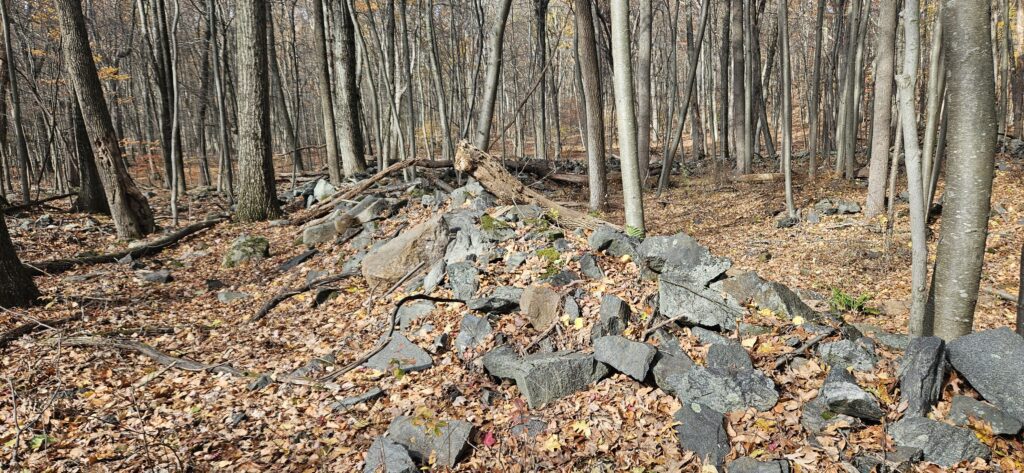 An image of excavated and discarded rock from mining known as mine trailings