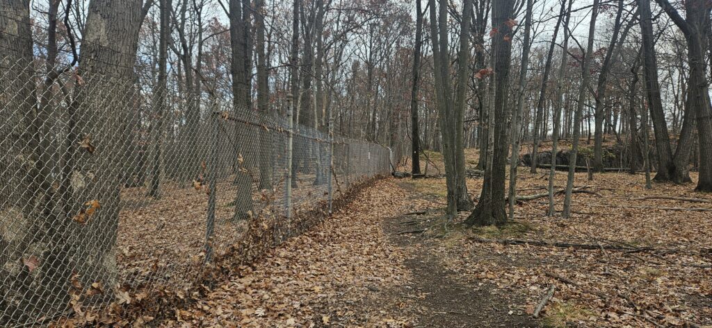 Fenced path through a wooded area