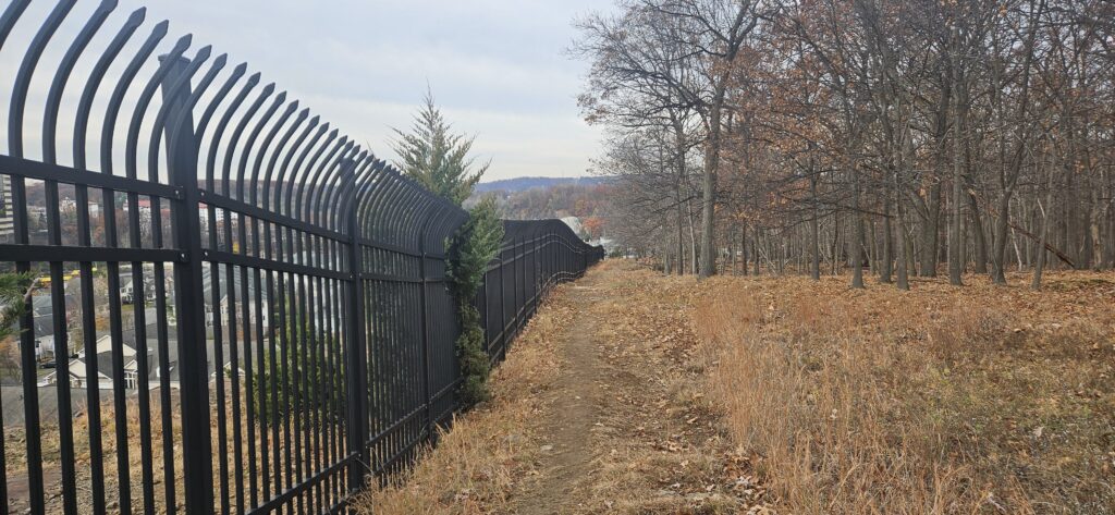 Fence along a wooded path