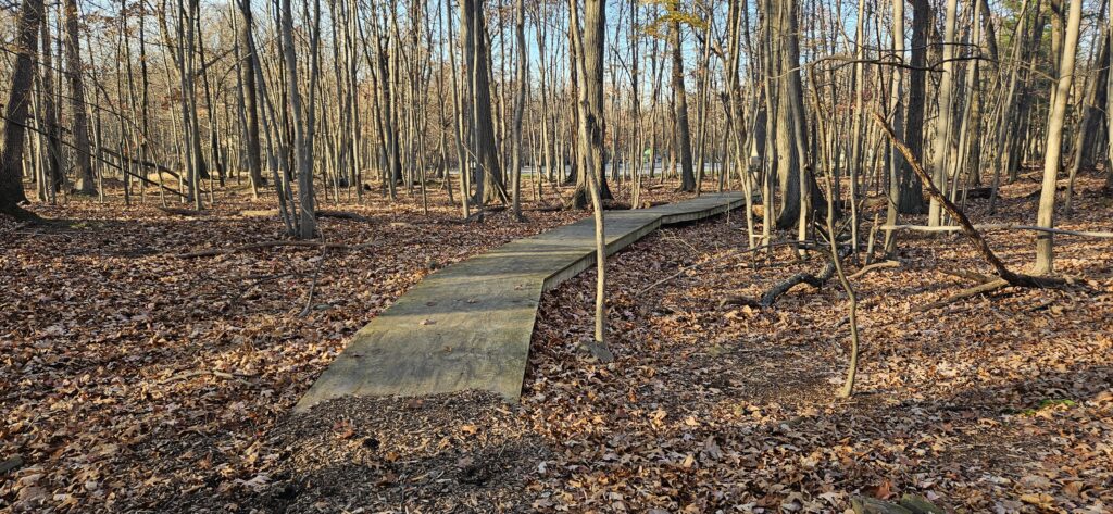 Wooden path through autumn forest