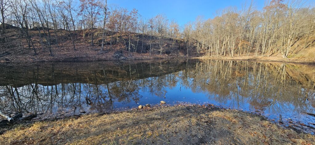 Calm lake reflecting bare trees.
