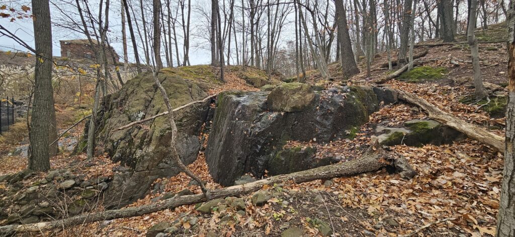 Rocky terrain with autumn leaves