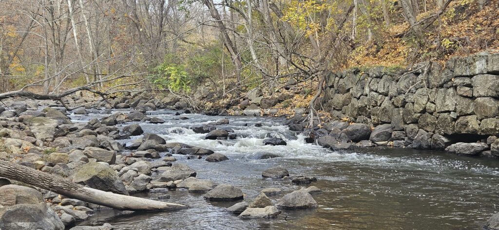 An image of a small rapid on the Rockaway River