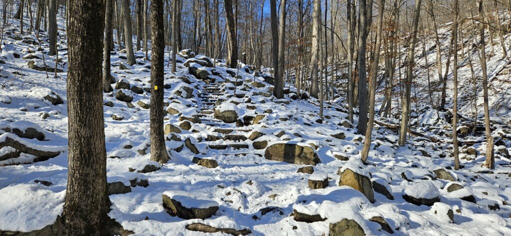 An image of the MacMillan Falls Trail in winter featuring some snow covered steps