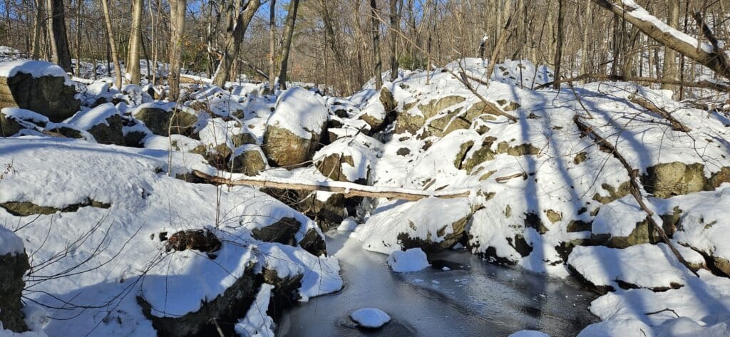 An image of a frozen waterfall at Norvin Green State Forest