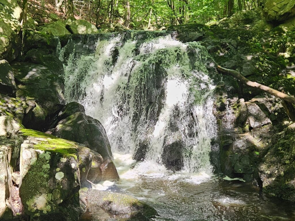 An image of an unnamed waterfall at Norvin Green State Forest