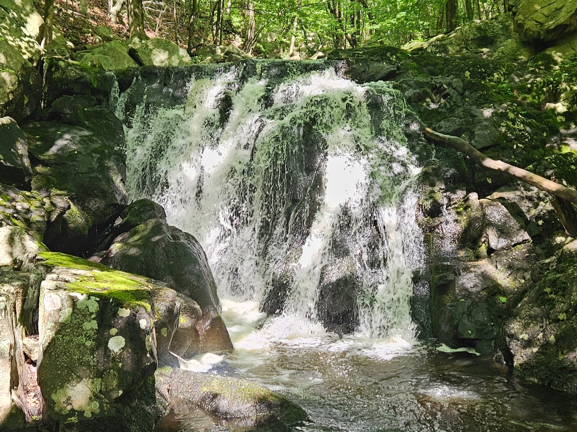 An image of an unnamed waterfall at Norvin Green State Forest