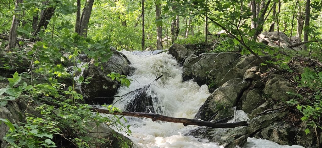 An image of an unnamed waterfall at Norvin Green State Forest