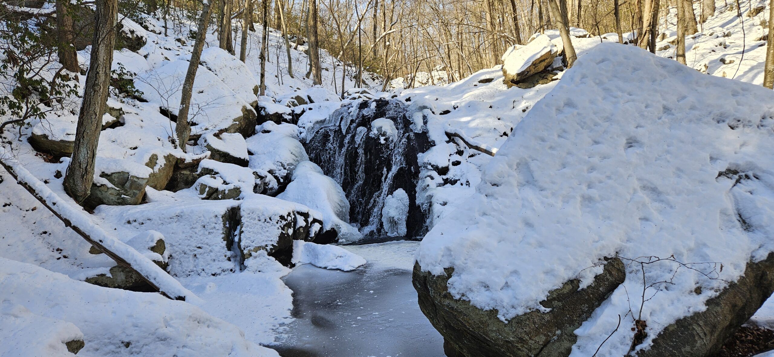 The Secret Waterfalls of Norvin Green State Forest