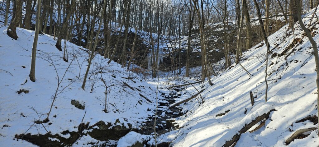 Snowy forest with a creek