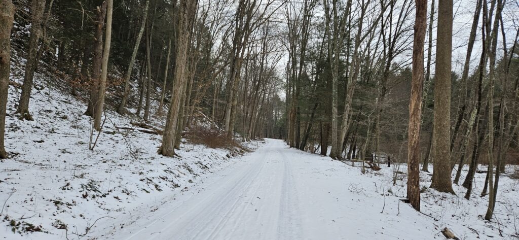 An image of a snow covered road through the woods