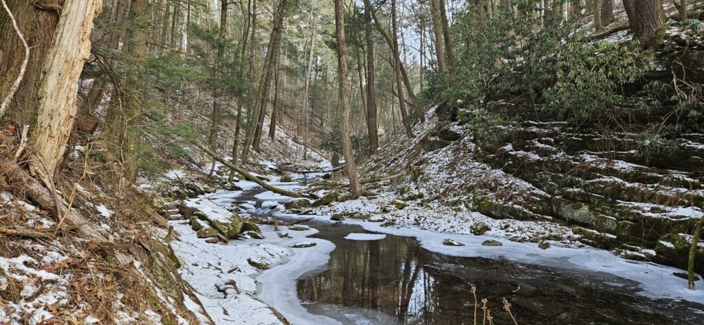 An image of Van Campens Brook in the winter