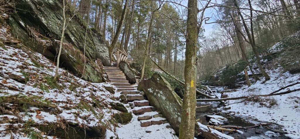 An image of the snowy Van Campens Glen Trail