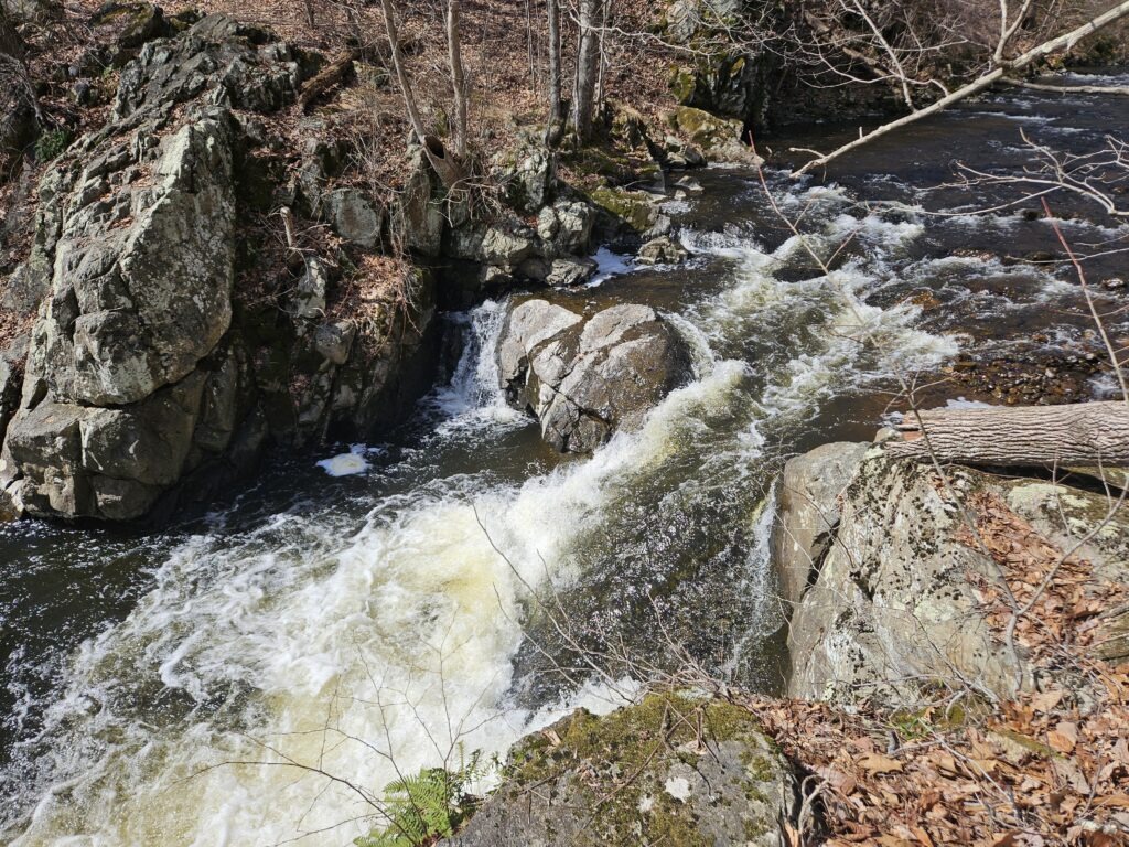 An image of Potters Falls