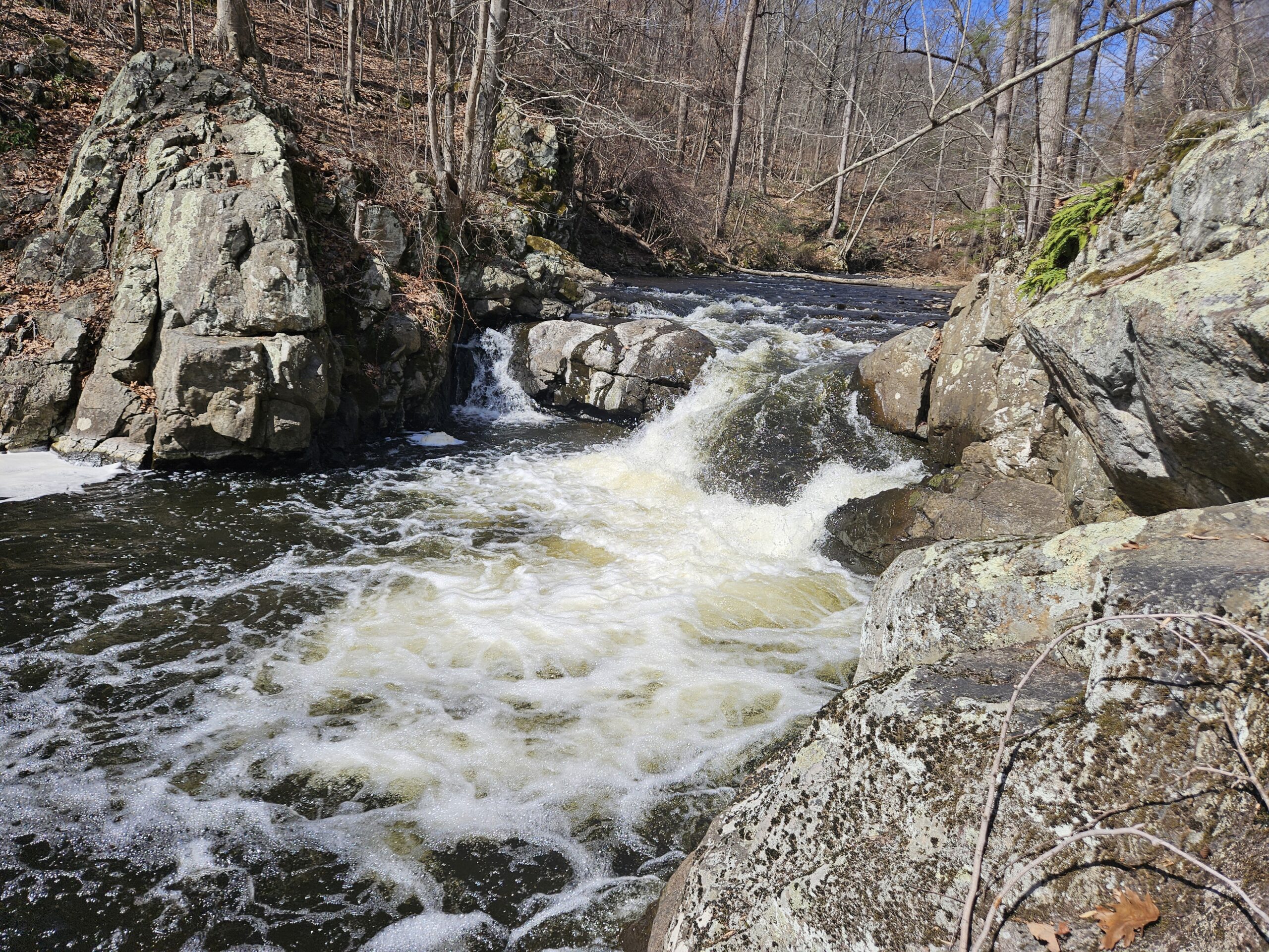 An image of Potters Falls