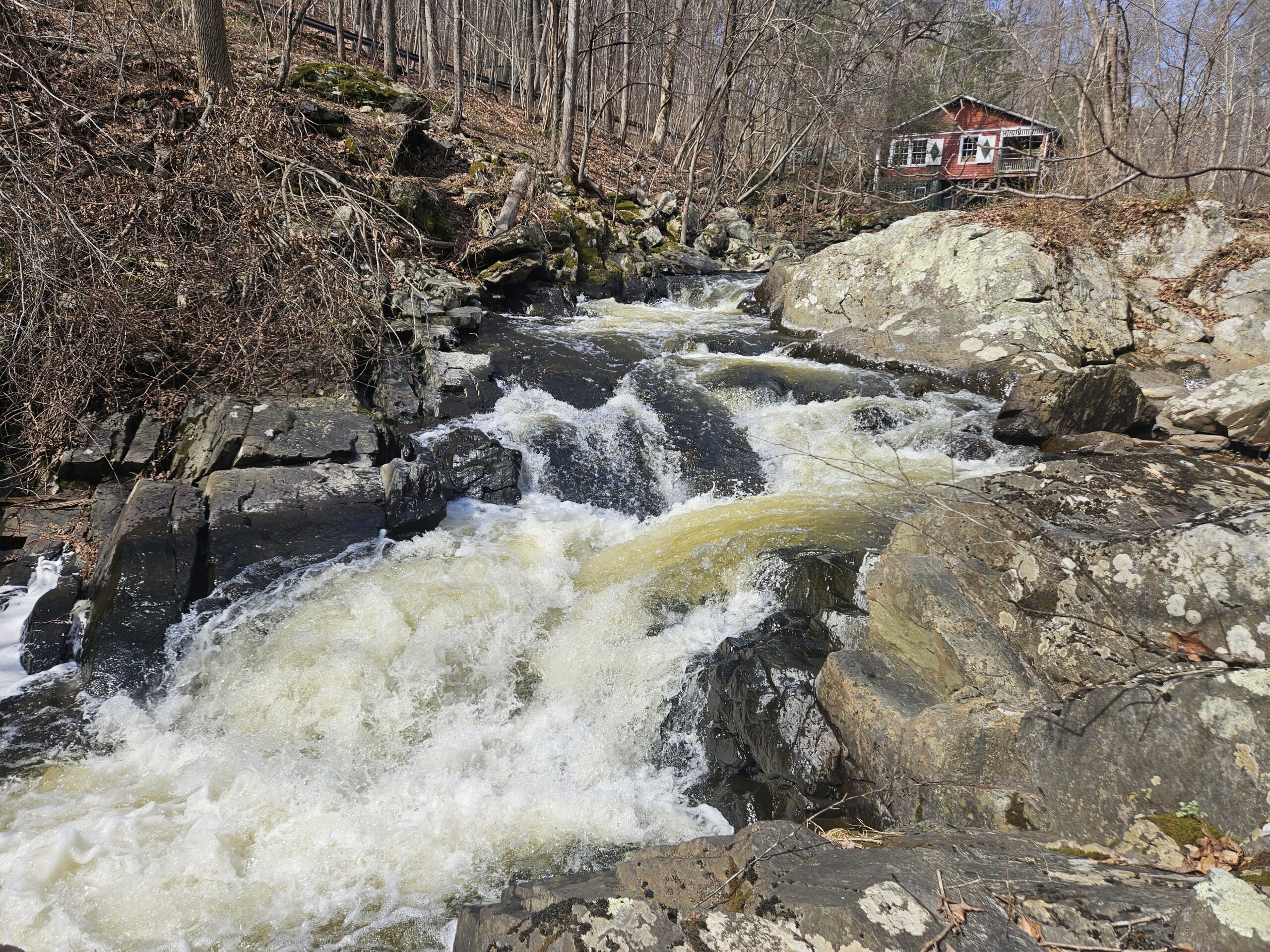 An image of an Unnamed Waterfall on Lamington River