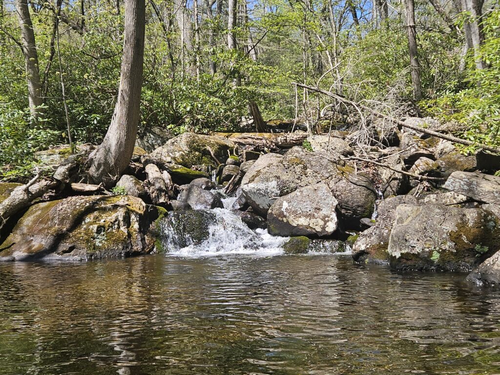 Unnamed Waterfall at Abram S. Hewitt State Forest 5 4 Unnamed Waterfall at Abram S. Hewitt State Forest 5 3