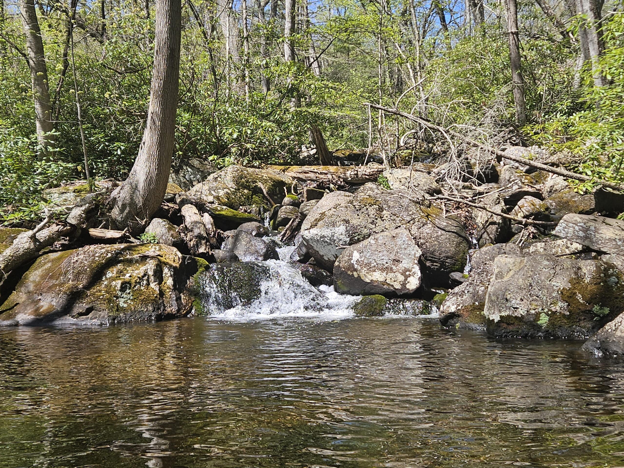 Unnamed Waterfall at Abram S. Hewitt State Forest 5 A cascade in West Milford