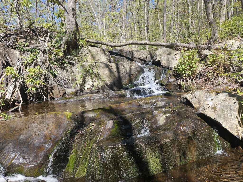 Unnamed Waterfall at Abram S. Hewitt State Forest 1 1