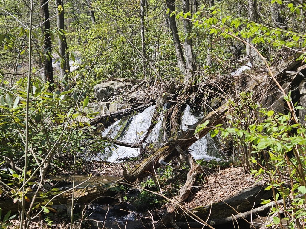 Unnamed Waterfall at Abram S. Hewitt State Forest 1 3