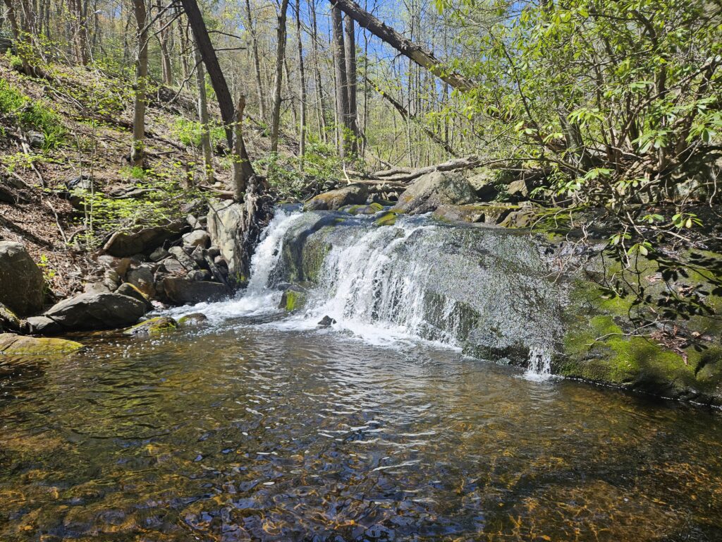 Unnamed Waterfall at Abram S. Hewitt State Forest 3 3