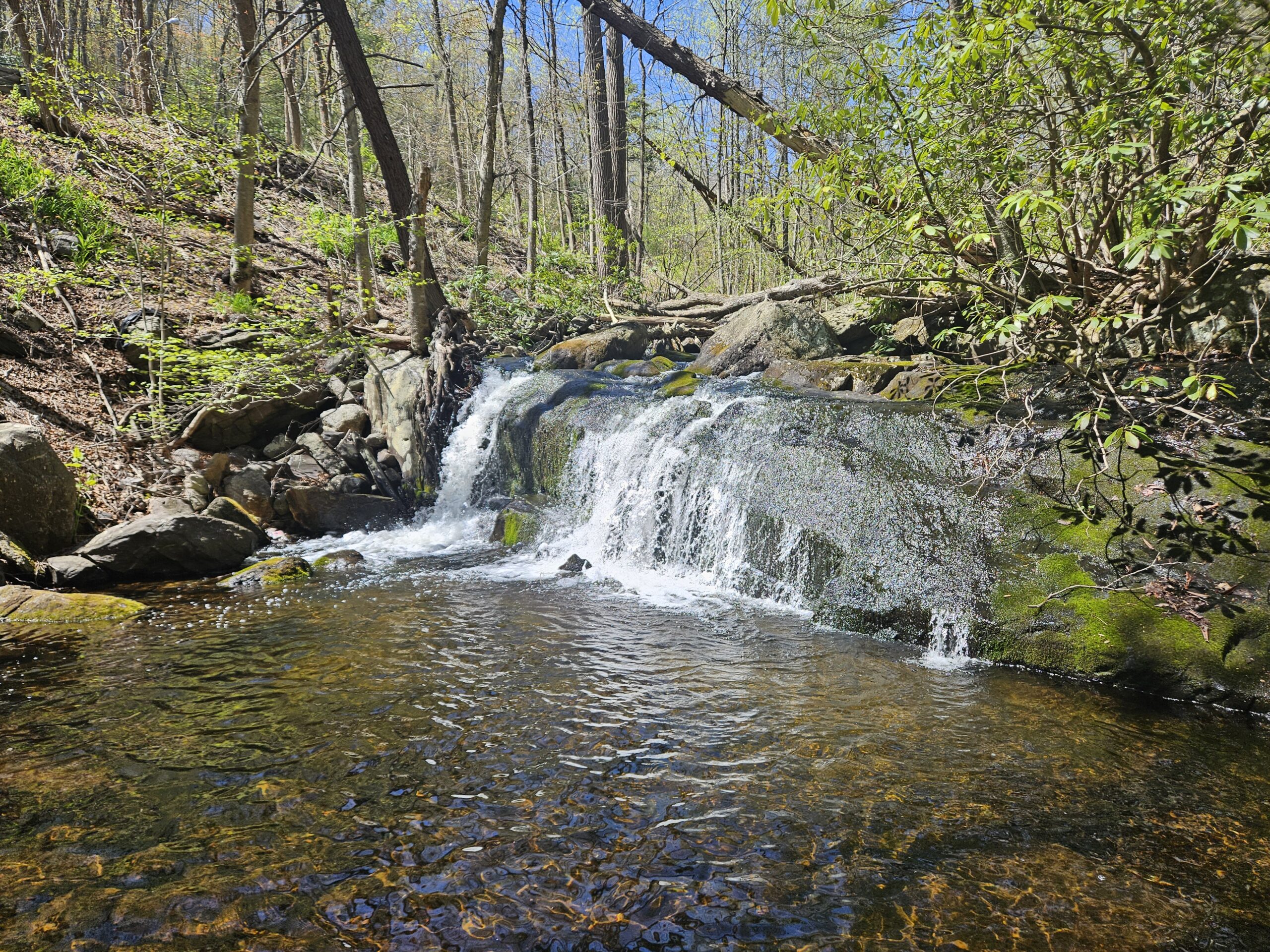 A waterfall in Abram S. Hewitt State Forest