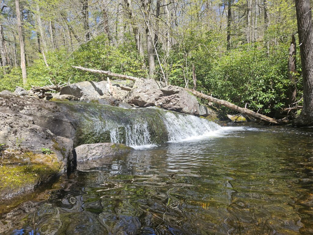 Unnamed Waterfall at Abram S. Hewitt State Forest 4 5