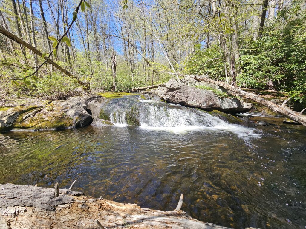 Unnamed Waterfall at Abram S. Hewitt State Forest 4 3