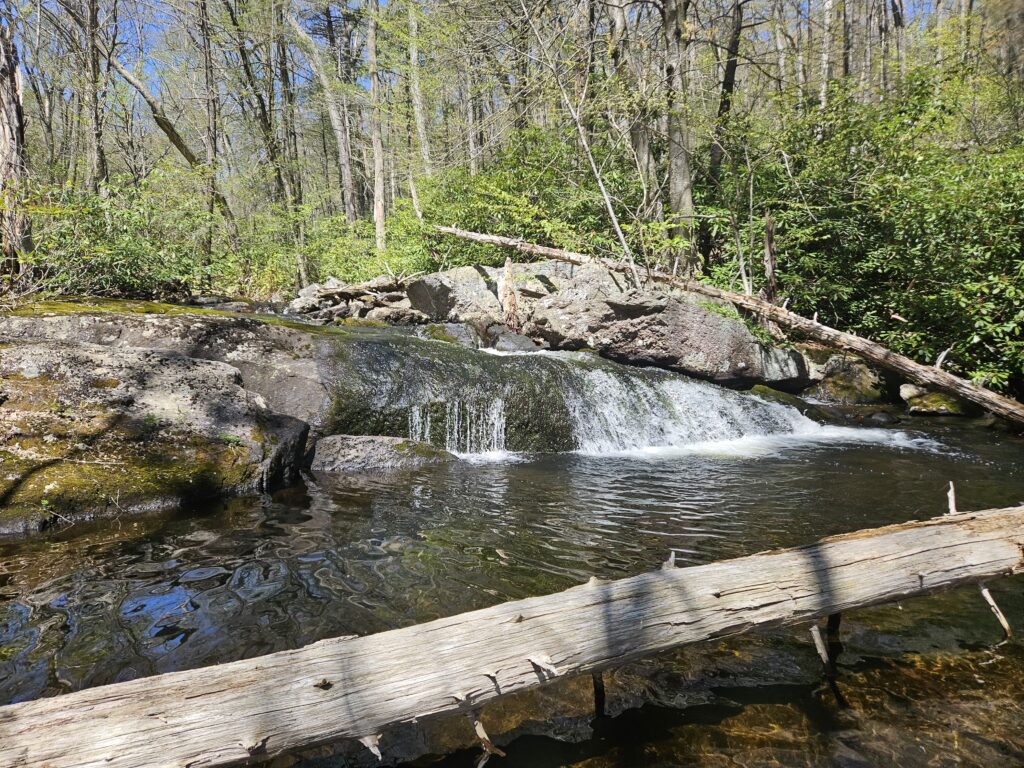 Unnamed Waterfall at Abram S. Hewitt State Forest 4 1