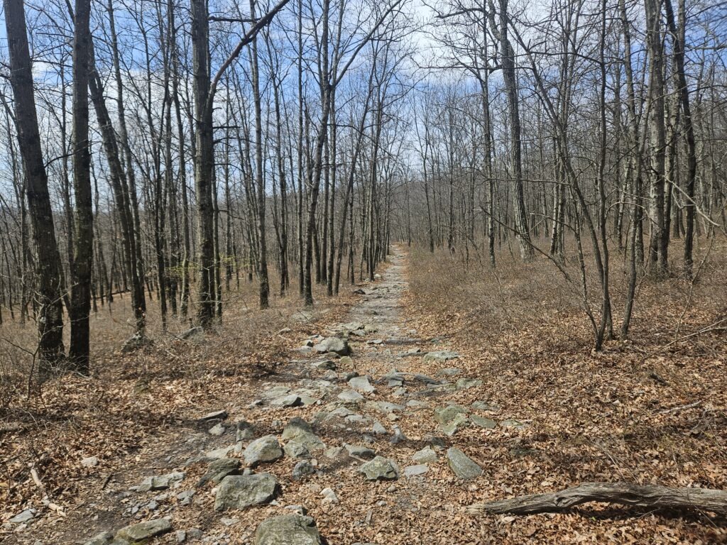 Appalachian Trail at Worthington State Forest