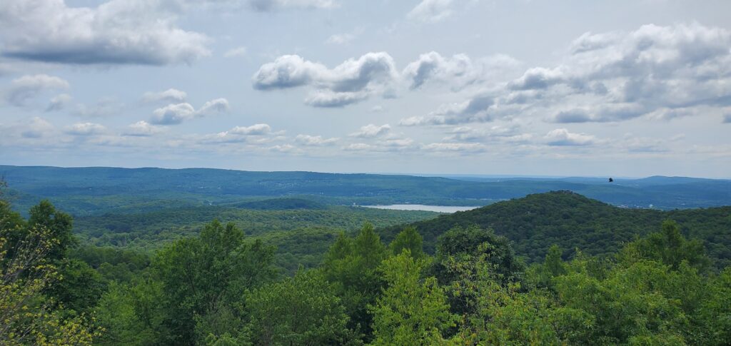 The Best Things to Do in Norvin Green State Forest 6
