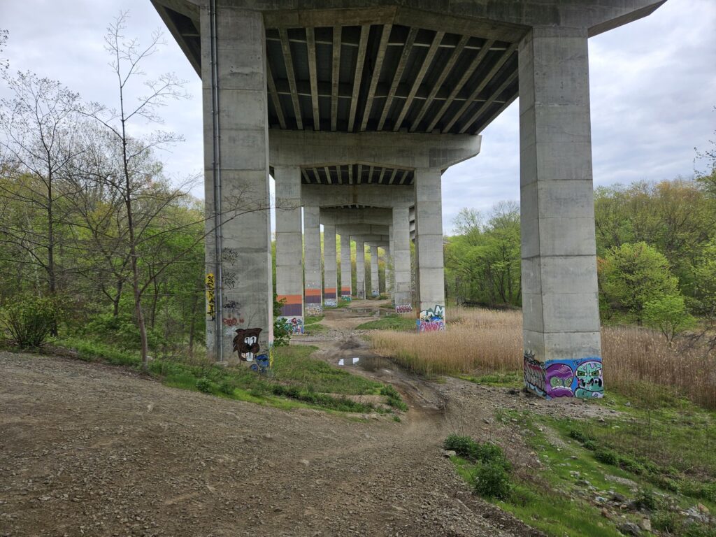 An image of the Route 287 underpass at Back Beach Park in Wanaque