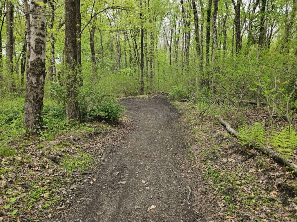 The trail at Back Beach Park in Wanaque